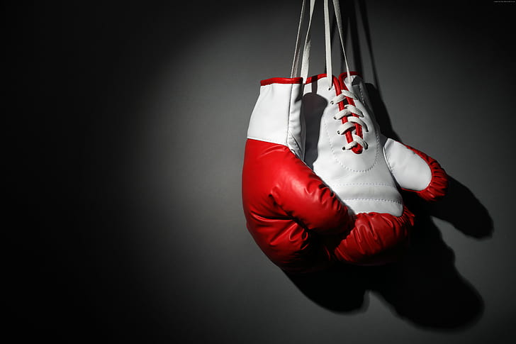 white, red, Boxing gloves