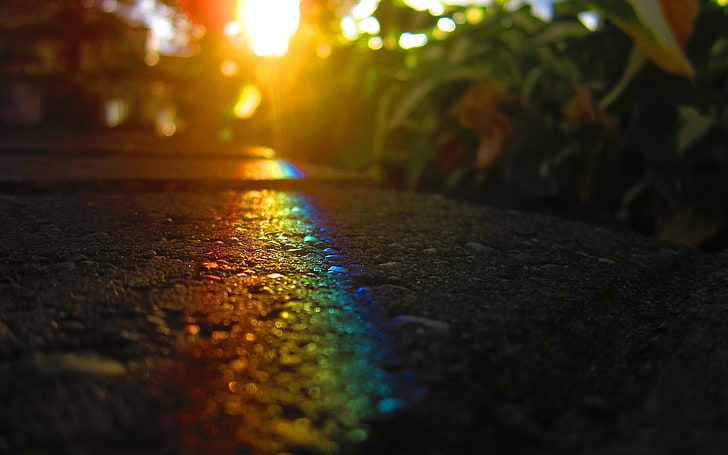 bokeh photography of rainbow light, macro, asphalt, road, sunrise, HD wallpaper