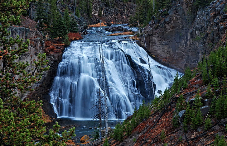 Yellowstone, USA, photography of waterfall in the forest, rocks