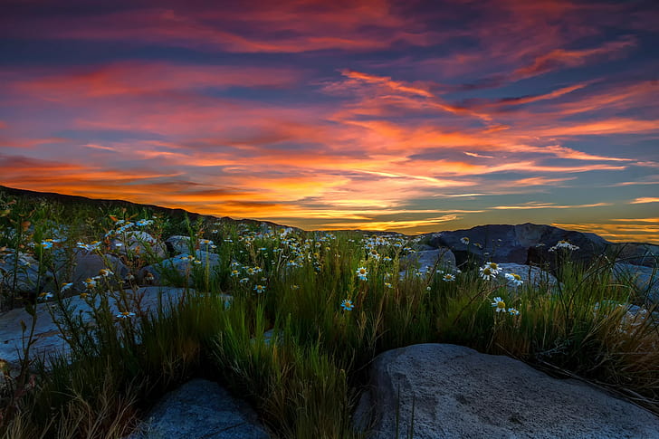 Sierra Nevada, landscape, nature, HD wallpaper