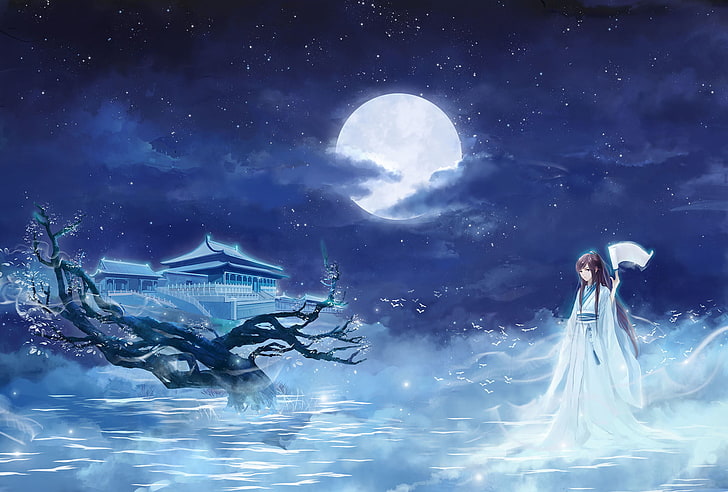 fantasy art, fantasy girl, night, Moon, anime girls, xianxia, HD wallpaper