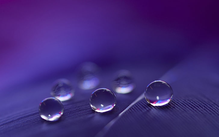 water droplets, focus photo of rain drops, macro, depth of field, HD wallpaper