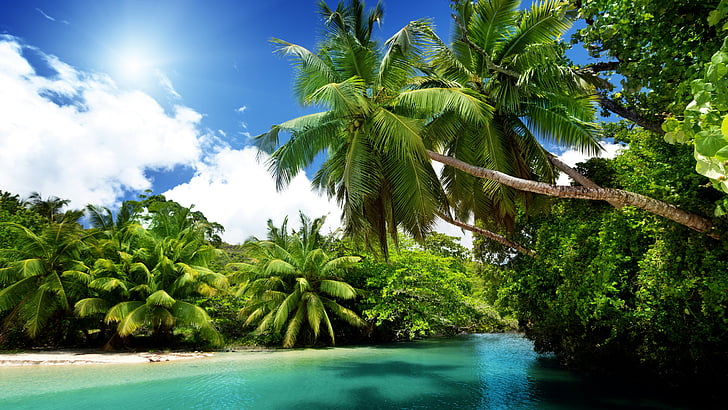 tropical landscape, exotic, vegetation, summer, tropics, vacation