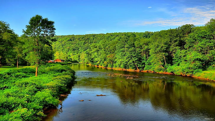 River Leak Of Water Dense Forest From Green Trees Nature Blue Sky Summer Landscape For Desktop Hd Wallpaper 1920×1080