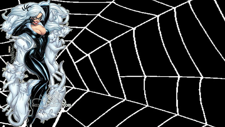 comics spider man black cat character felicia hardy, people, HD wallpaper