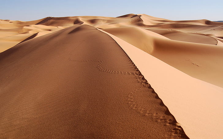 Desert, Landscape, Dune, Sand, Footprints, sahara desert, HD wallpaper