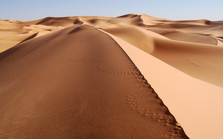 desert, sand, tracks, dune, landscape, footprints, nature, sand dune, HD wallpaper