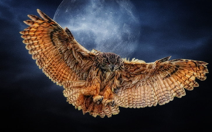 brown owl, Moon, wings, nature, animals, artwork, fantasy art