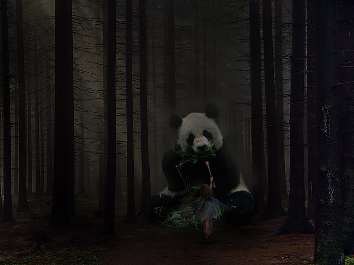 Gabriel (Shingeki no Bahamut), panda, forest, dark, mammal, HD wallpaper