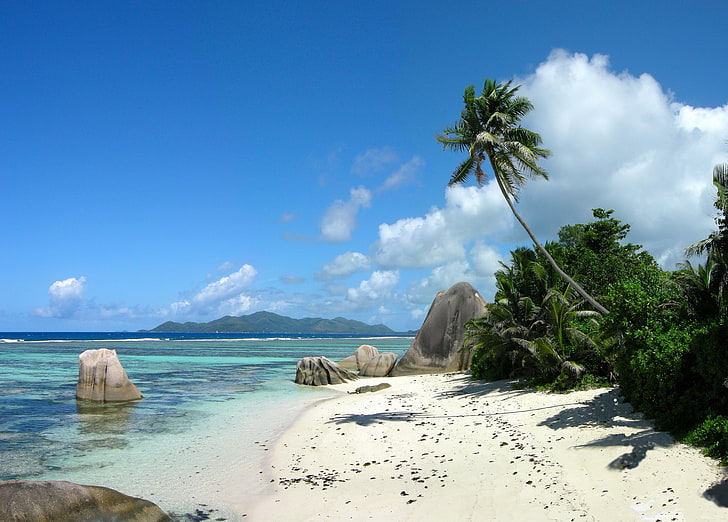 gray stone formation, sea, beach, palm trees, island, nature, HD wallpaper