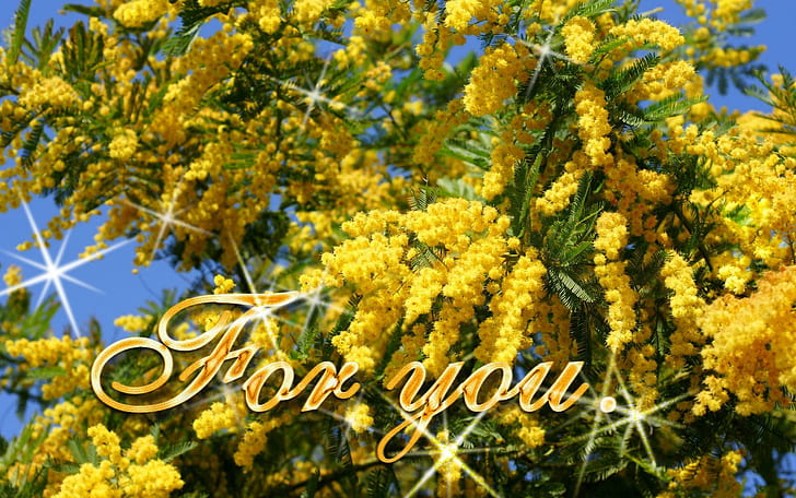 Bright Days For My Friends In Dn, glitter, yellow, for you, tree