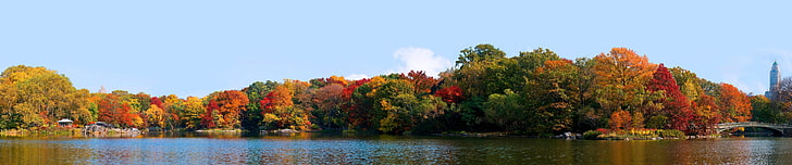 New York City, Central Park, triple screen, autumn, tree, water, HD wallpaper