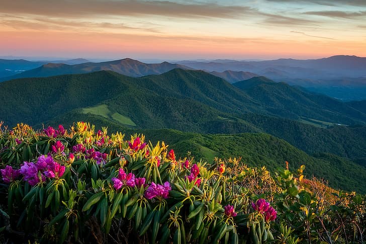 sunset, mountains, panorama, North Carolina, Appalachian, Appalachian Mountains, HD wallpaper