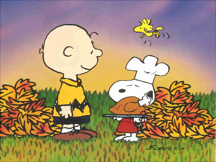 Image result for peanuts thanksgiving