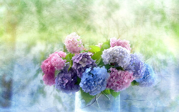 Hydrangeas vase bouquet painting flora flowers, HD wallpaper