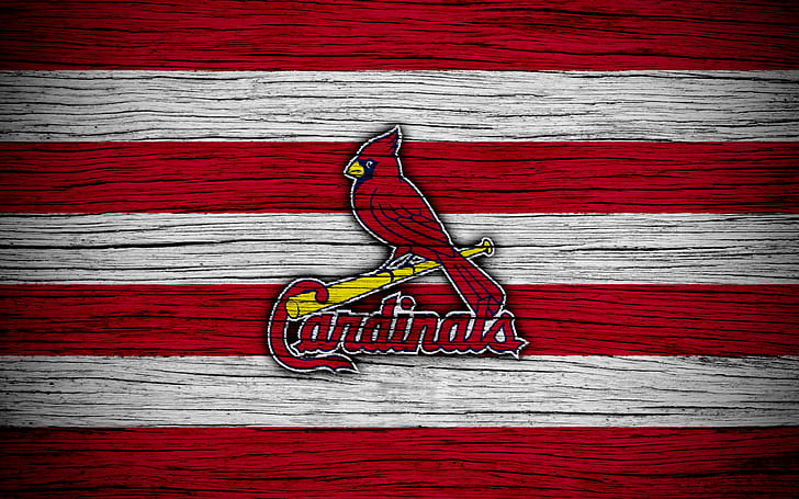 Download St Louis Cardinals Red Bird On Field Wallpaper  Wallpaperscom
