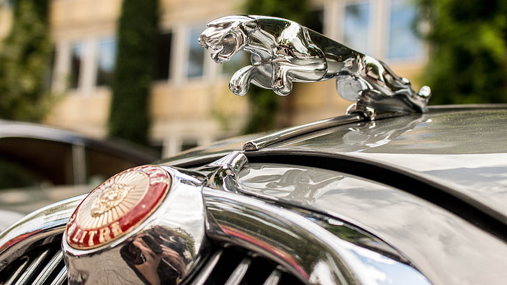 silver-colored and gold-colored ring, Jaguar, car, mode of transportation, HD wallpaper