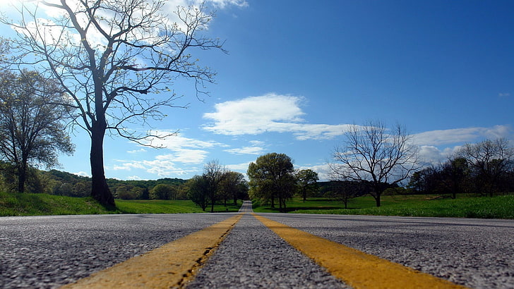 grey asphalt road, landscape, nature, tree, sky, plant, transportation