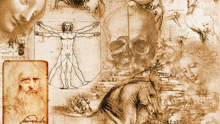 Leonardo Da Vinci, Vitruvian Man