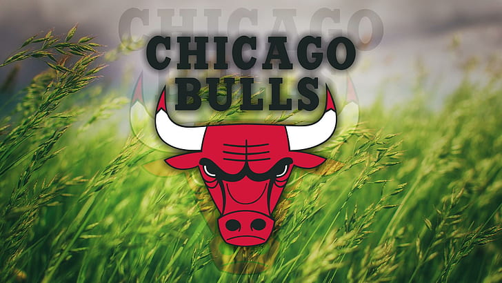 Chicago Bulls, logo, grass, nba, basketball