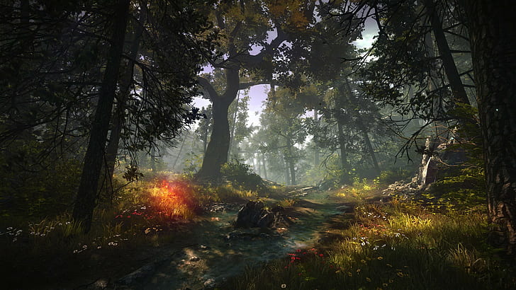 nature, The Witcher 2 Assassins of Kings, video games, screen shot, HD wallpaper