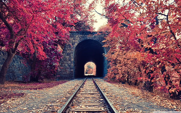 brown bricked tunnel, architectural photography of train rail HD wallpaper