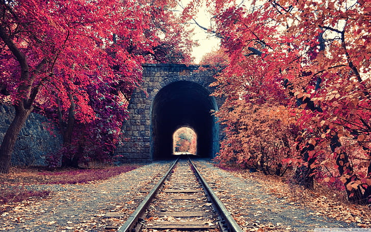 HD wallpaper: tunnel, trees, fall, railway, Armenia | Wallpaper Flare