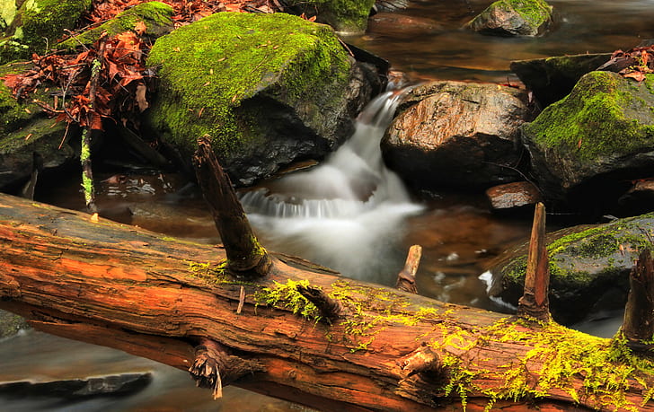 river between brown rock formation near brown tree branch photography