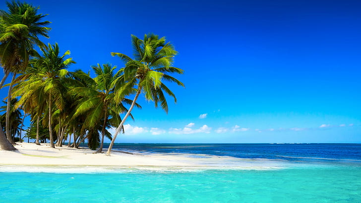Tropical beach with palm trees beautiful sky blue sea, HD wallpaper