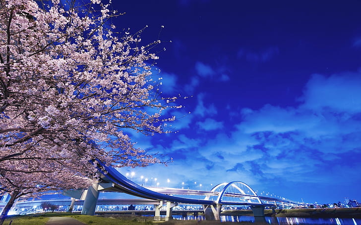 city, cityscape, bridge, cherry blossom, sky, HD wallpaper