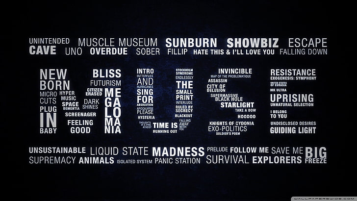 Muse artwork, music, typography, songs, digital art, text, communication, HD wallpaper
