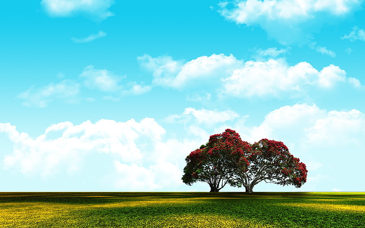 HD wallpaper: Adobe Photoshop, landscape, nature, sky, cloud - sky, beauty  in nature | Wallpaper Flare
