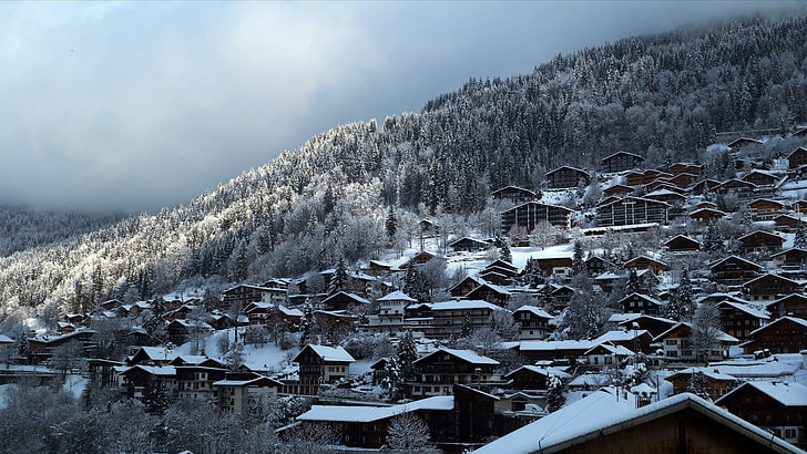 landscape, winter, snow, forest, building, town, cold temperature, HD wallpaper