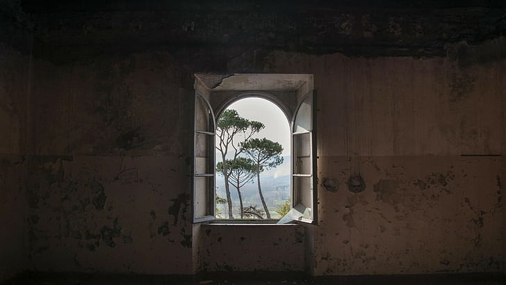 nature, landscape, trees, interior, building, abandoned, window, HD wallpaper