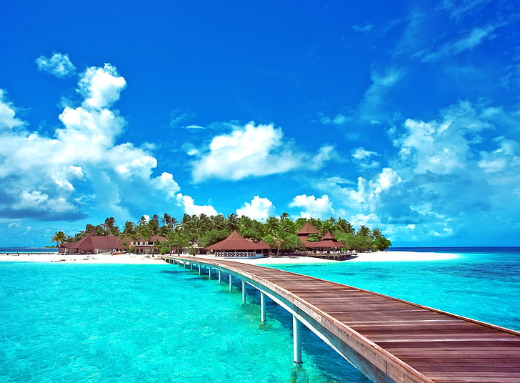 Island Paradise, brown wooden dock, Travel, Islands, Ocean, Exotic, HD wallpaper