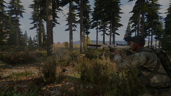 Arma 3, chernarus, video games, tree, plant, real people, nature