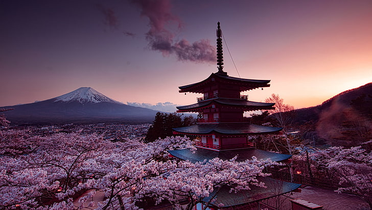 Mount Fuji, Japan, brown and white pagoda, cherry blossom, pink