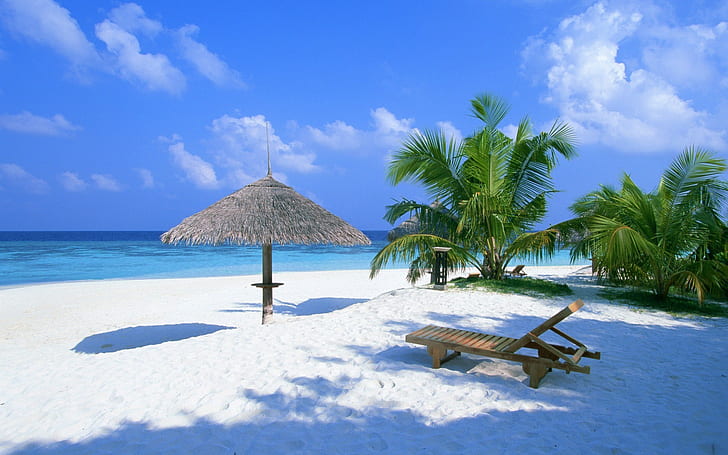 nature, beach, palm trees, chair, clouds, sea, horizon, HD wallpaper