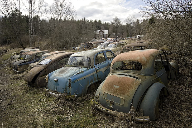 old, rust, car, vehicle, wreck, plant, tree, land, field, mode of transportation
