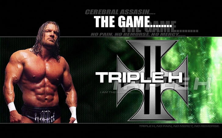black and green Guitar Hero controller, WWE, Triple H, muscular build