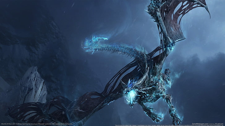 black and blue dragon digital wallpaper, Warcraft, World of Warcraft, HD wallpaper