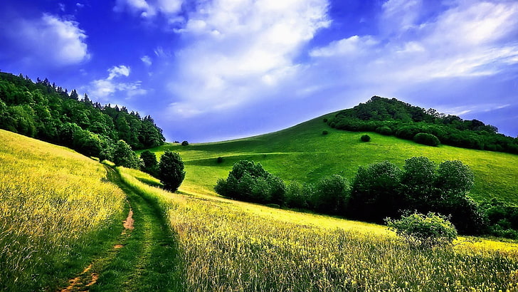 grass and tree covered field and hills, landscape, nature, summer