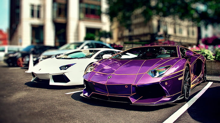 purple and white coupes, car, Lamborghini, Lamborghini Aventador, HD wallpaper