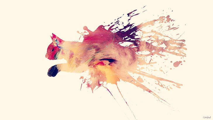 brown and red cat painting, animals, colorful, splashes, studio shot, HD wallpaper