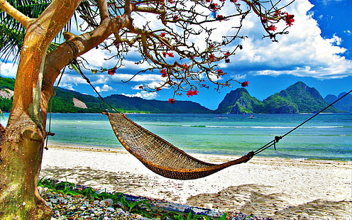 HD wallpaper: Summer relax place, white hammock, beach | Wallpaper Flare