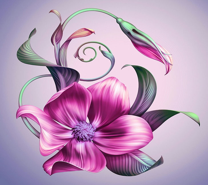 artwork, flowers, pink color, purple, flowering plant, studio shot, HD wallpaper