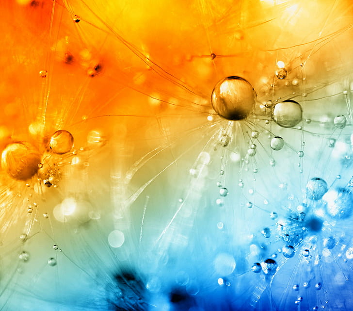 orange and blue bubbles in macro lens photo, Blowing Hot and Cold, HD wallpaper