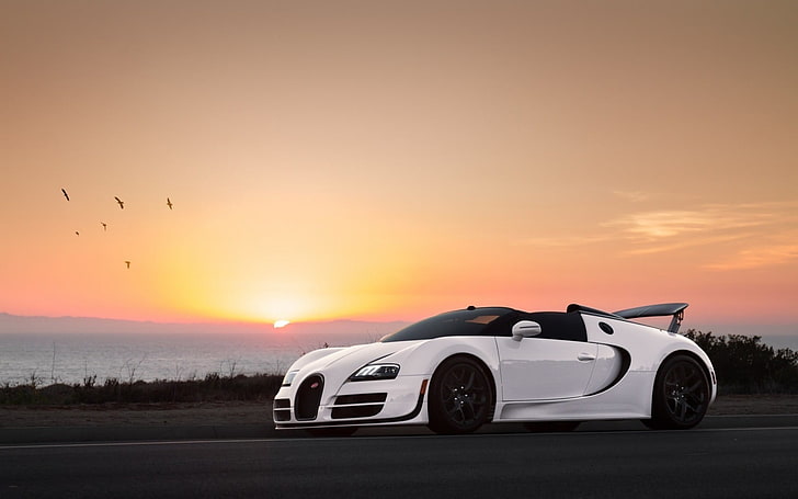 white coupe, Bugatti Veyron Super Sport, white cars, Super Car