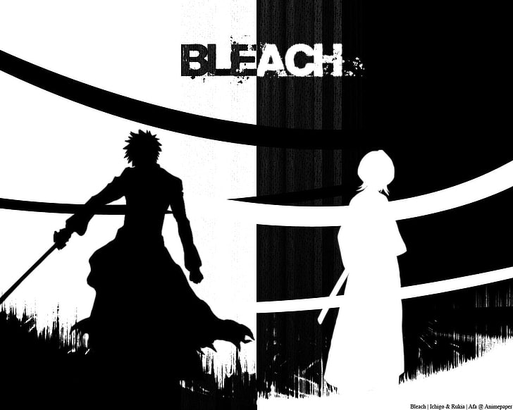Bleach anime poster, Ichigo Kurosaki, Rukia Kuchiki, silhouette, HD wallpaper