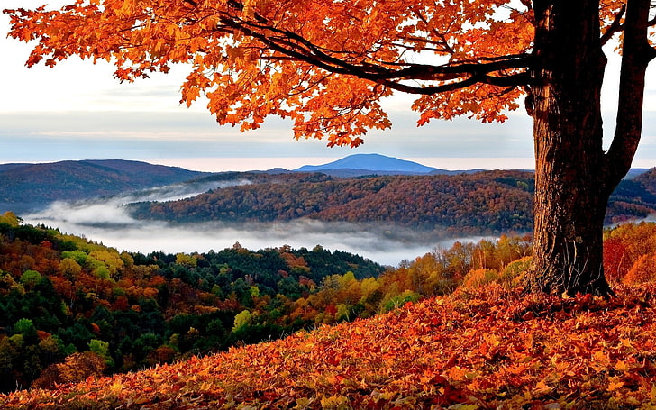 Imágenes de paisajes de otoño